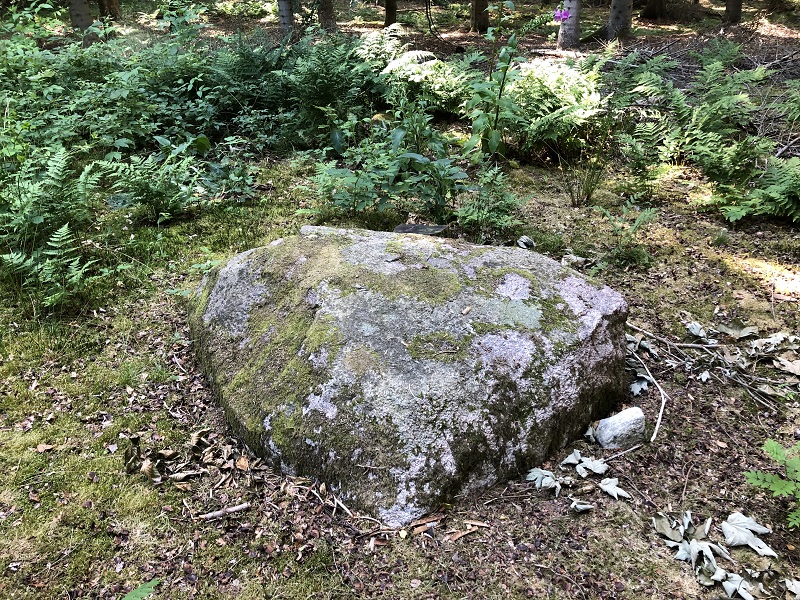 Folehaven Rundhøj 11