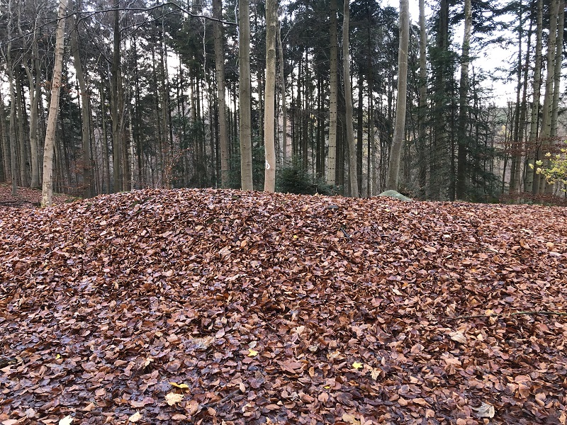 Geel Skov Gravhøj 2