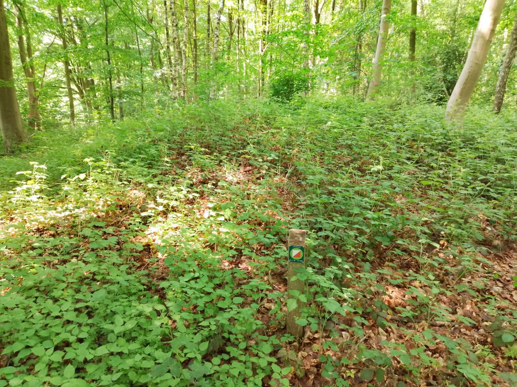 Stevneskov Rundhøj 2