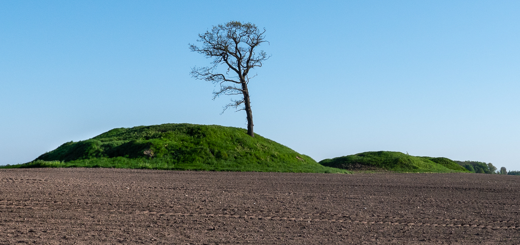 Click for the gallery page to add comments and vote (PID:198268) Syvhøje Næstved