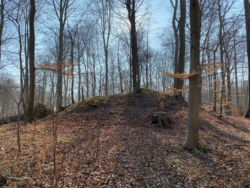 Trørød Skov Rundhøj 1
