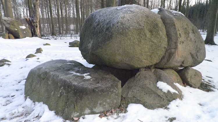 Pipstorn Skov Langdysse 5