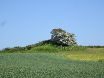 Pillemark Jættestue 1