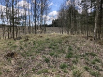 Næsbyholm Storskov Langdysse 4