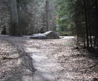 Myrestenen