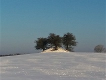 Ellegaard Rundhøj
