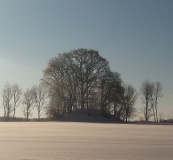 Rosmannegård Rundhøj 1