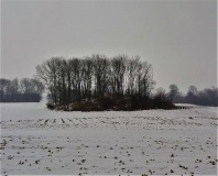 Kjøllergård Rundhøj