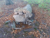 Louisenlund Grove