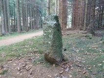 Lovrup Skov Vildtbanesten