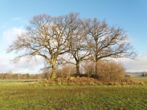Stenseby Bønnestenene Jættestue 1