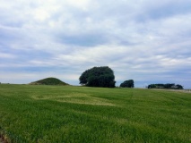 Slagelsehøje