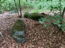 Bønnet Skov Langdysse