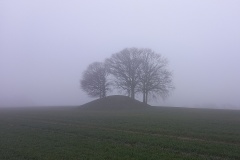Bakkegård Rundhøje