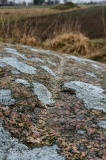 Vasagård cup marked Stone