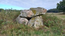 Tøstrup Runddysse 1
