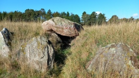 Ildbjerg Langdysse