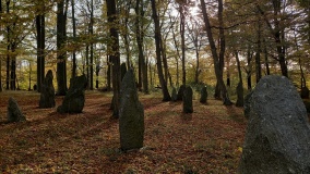 Louisenlund Grove