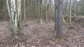Blemmelyng-Kællinghøj Bautasten 1