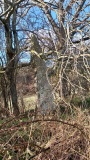 Rabækkegård Bautasten