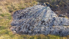 Madsebakke-3