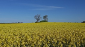 St.Loftsgaard Rundhøj
