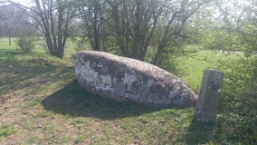 Ringeby