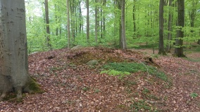 Plantehaverne II 5a Rundhøje