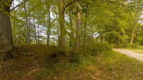 Camp Møns Klint Rundhøje