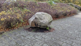 Brunsgård Runesten