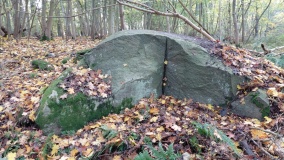 Gudhjem Plantage Skåltegn
