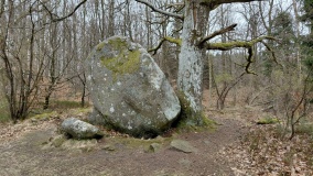Munken Sagnsten