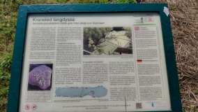 Mandemarke Langdysse 2