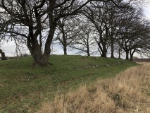 Svenstrup Langdysse (Tårnborg)