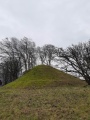 Click for full size image of Voldbjerggård Jættestue (PID:256366) Voldbjerggård Jættestue