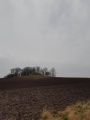 Click for full size image of Voldbjerggård Jættestue (PID:256365) Voldbjerggård Jættestue