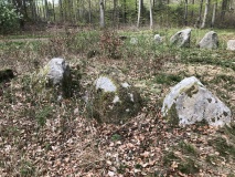 Store Bøgeskov Langdysse 4