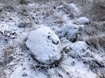 Glumsø Østerskov Langdysse 1