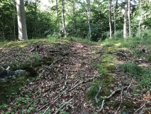 Folehaven Langdysse 4