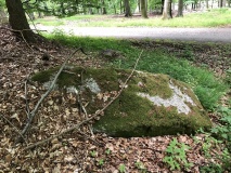 Charlottedal Skov Langdysse 1