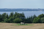 Agri Grovlegård Runddysse - PID:156068