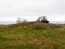 Bølshavn Gravrøse