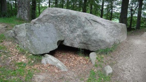 Blommeskobbel Langdysse 1