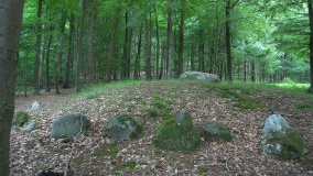 Blommeskobbel Runddysse 2