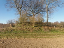Blykobbegård Rundhøj