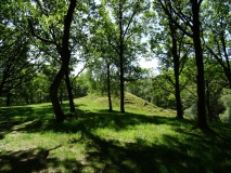 Hvolris Jernalderlandsby - PID:261832 Hvolris Jernalderlandsby - PID:261832