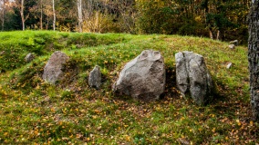 Lindet Skov Langdysse 2 - PID:112813