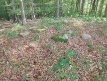 Græsholmene Runddysse