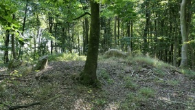Havnbjerg Ærskov Langdysse