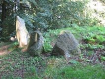 Havrekobbel Langdysse 1